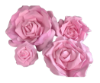 Picture of FL0742 - Foam Rose 4Pc Set - 8", 12", 15" & 20"  to Create Flower Walls