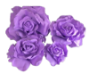 Picture of FL0742 - Foam Rose 4Pc Set - 8", 12", 15" & 20"  to Create Flower Walls