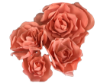 Picture of FL0742 - Foam Rose 4Pc Set - 8", 12", 15" & 20"  to Create Flower Walls