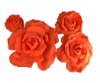 Picture of FL0742 - Foam Rose 4Pc Set - 8", 12", 15" & 20"  to Create Flower Walls