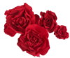 Picture of FL0742 - Foam Rose 4Pc Set - 8", 12", 15" & 20"  to Create Flower Walls