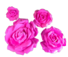 Picture of FL0742 - Foam Rose 4Pc Set - 8", 12", 15" & 20"  to Create Flower Walls