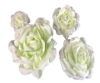 Picture of FL0742 - Foam Rose 4Pc Set - 8", 12", 15" & 20"  to Create Flower Walls