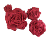 Picture of FL0742 - Foam Rose 4Pc Set - 8", 12", 15" & 20"  to Create Flower Walls