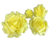 Picture of FL0742 - Foam Rose 4Pc Set - 8", 12", 15" & 20"  to Create Flower Walls