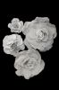 Picture of FL0745 - Foam Rose 4Pc Set - 8", 12", 15" & 20"  to Create Flower Walls
