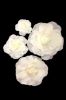 Picture of FL0745 - Foam Rose 4Pc Set - 8", 12", 15" & 20"  to Create Flower Walls