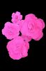 Picture of FL0745 - Foam Rose 4Pc Set - 8", 12", 15" & 20"  to Create Flower Walls