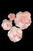 Picture of FL0745 - Foam Rose 4Pc Set - 8", 12", 15" & 20"  to Create Flower Walls