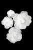 Picture of FL0745 - Foam Rose 4Pc Set - 8", 12", 15" & 20"  to Create Flower Walls