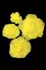 Picture of FL0745 - Foam Rose 4Pc Set - 8", 12", 15" & 20"  to Create Flower Walls