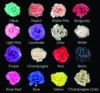 Picture of FL0708 - 7" Foam Roses with Wire Stem