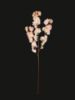 Picture of FLSX01 - Pink 42" Cherry Blossom Branch