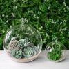 Picture of CH062J - 4" Glass Terrarium Globe Hanging Plant Holders