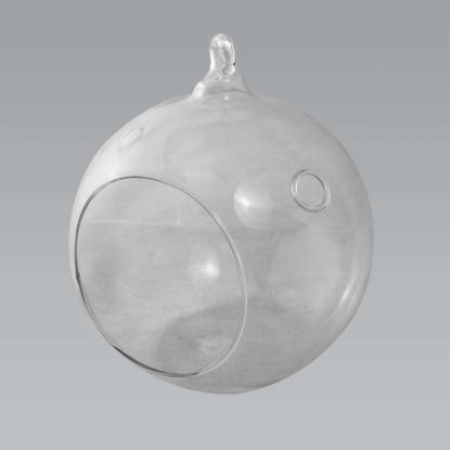 Picture of CH062B - 6" Glass Terrarium Globe Hanging Plant Holders