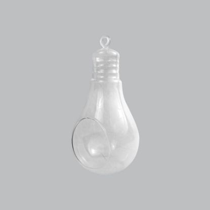 Picture of CH170 - 5.5" Air Plant Glass Terrarium Light Bulb Hanging Plant Holders