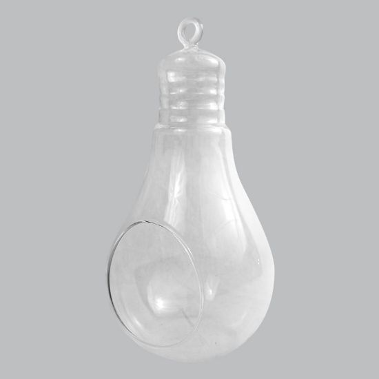 Picture of CH172 - 10" Air Plant Glass Terrarium Light Bulb Hanging Plant Holders