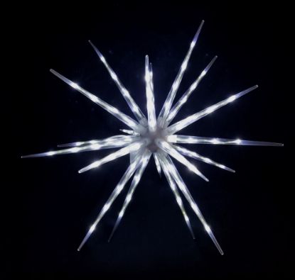 Picture of LEDST01 WT - 24" LED Star White Color Decor