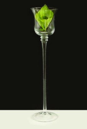 Picture of CH220 - 20" Premium Long Stem Glass Candle Holders