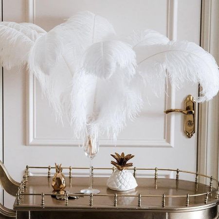 Picture for category Ostrich Feathers