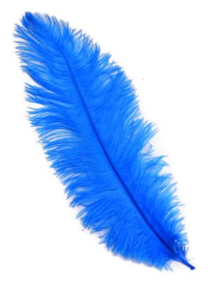 Picture of Blue Ostrich Feathers - 22" - 32"