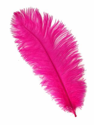Picture of Fucsia Ostrich Feathers - 22" - 32"