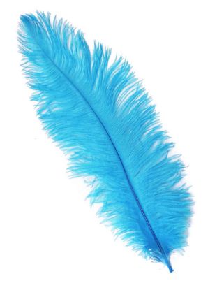 Picture of Light Blue Ostrich Feathers - 22" - 32"