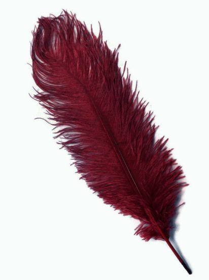 Picture of Burgandy Ostrich Feathers - 22" - 32"