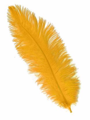 Picture of Yellow Ostrich Feathers - 22" - 32"