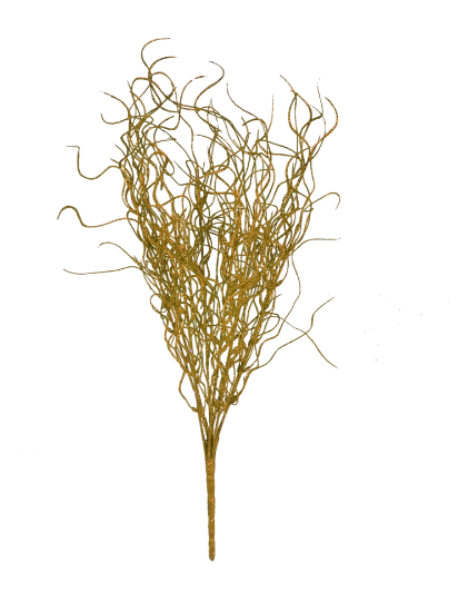 Picture of Gold - 16"  Angel Hair Glitter Twig