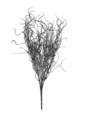 Picture of Black - 16"  Angel Hair Glitter Twig