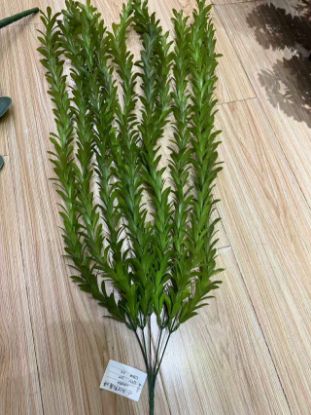 Picture of Green leaf