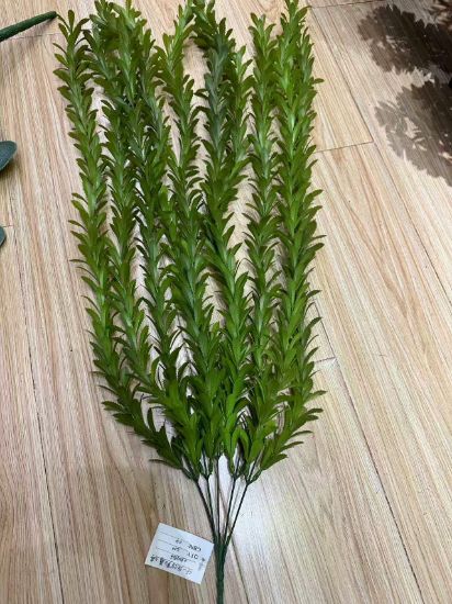 Picture of Green leaf