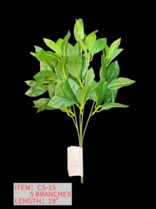 Picture of BANYAN LEAVES