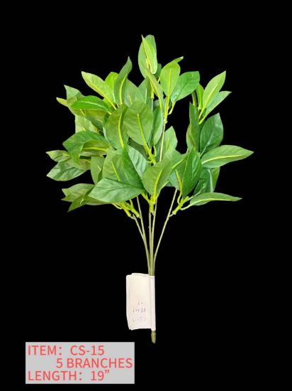 Picture of BANYAN LEAVES