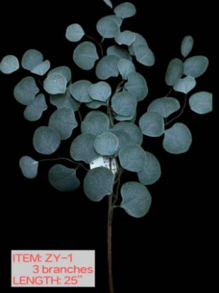 Picture of Eucalytus leaves